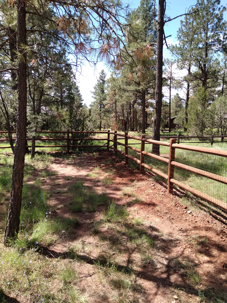 HomelandFence-Lodgepole6